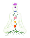 } - Collagen Lift Collagen Lift EUPHORIA CHAKRA NATURAL OIL - Τα πιο δυνατά έλαια στον κόσμο! Collagen Lift